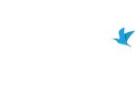 :